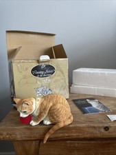 Country Artists Cats Ginger