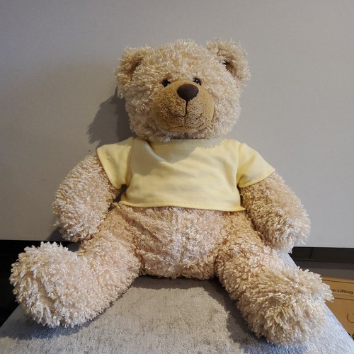 Vintage the bear - vintage,