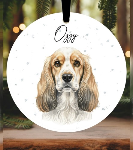 American cocker spaniel - american,