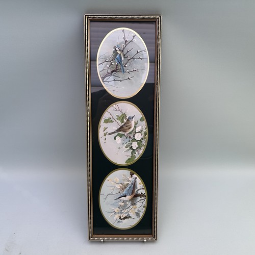 Vintage framed british bird - vintage,