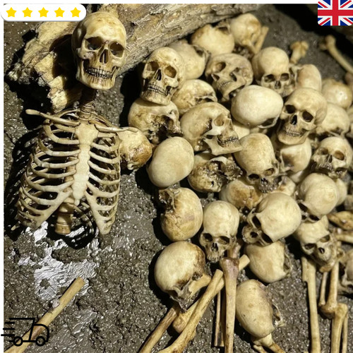Mini skeleton lizard - mini,