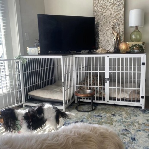 Indestructible dog crate - indestructible,