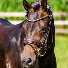 Finesse Cayenne Bridle Brown