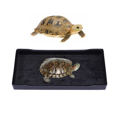 Turtle tank accessory lizard - ,