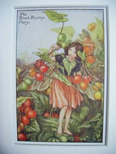 Vintage Flower Fairies Print & Mount Black Bryony Fairy Cicely Barker c1930s