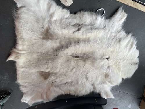 Hanlin deer hide unused - deer, unused.