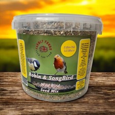 Wild bird seed robin songbird - robin&,