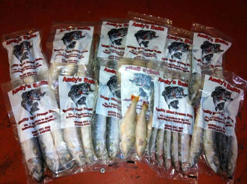 Frozen pike fishing - frozen,