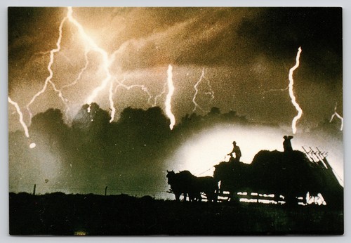 Amish farmers hay wagon summer - wagon,