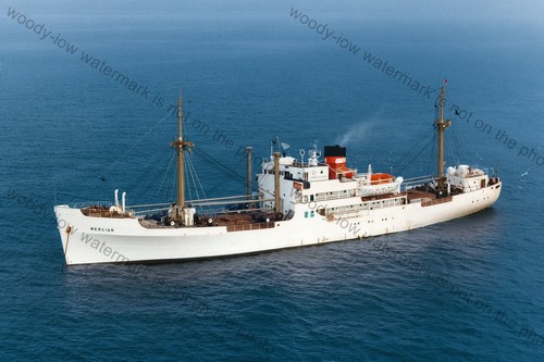 Col1284 ellerman lines cargo - col1284,