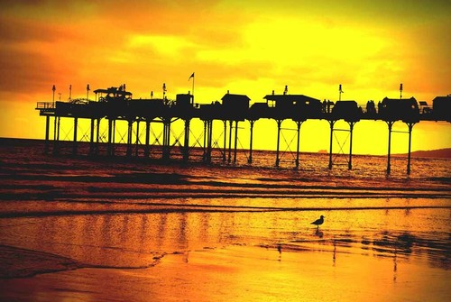 Teignmouth pier and - pier,
