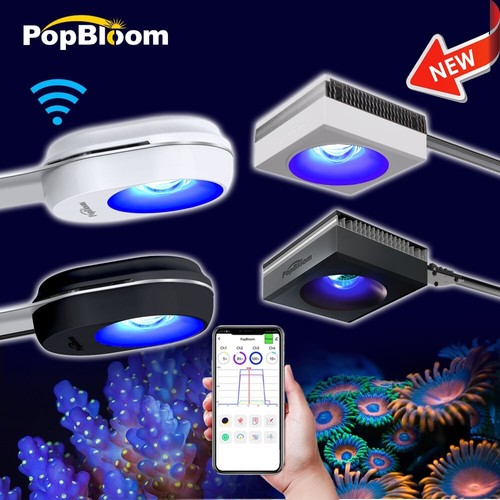 Popbloom rl60 rl90 - popbloom,