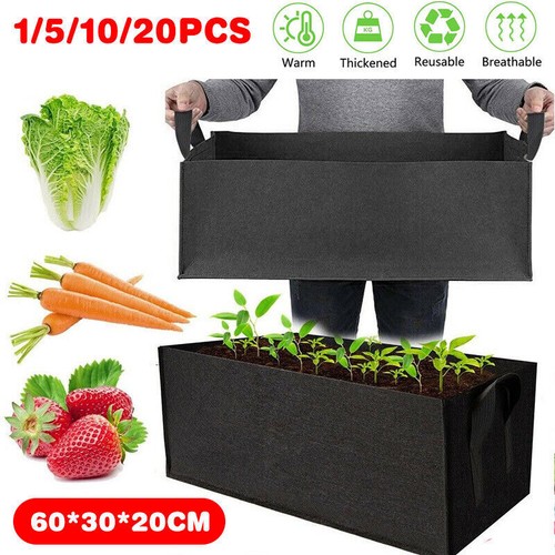 10x large plant - grow, bags