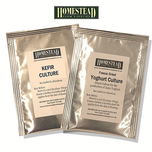 Yogurt starter culture kefir - culture,