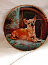 Danbury Mint Chihuahuas  "The