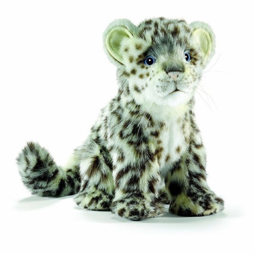 Hansa sitting snow - , leopard