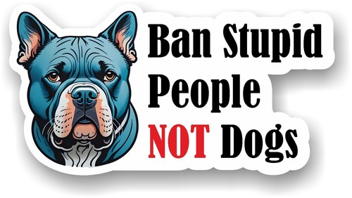 American bully dog ban - xl,