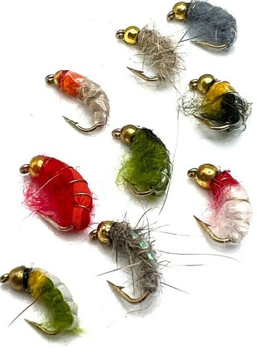 12trout fly fishing - or,