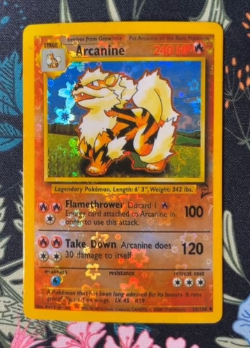 Rare arcanine flower holo - arcanine,