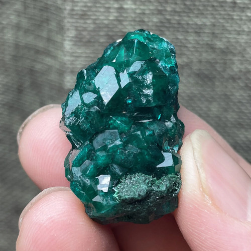 Natural congo green - natural,