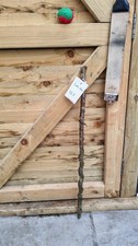 Twisted Twisty Wood Birch