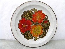 MIDWINTER Nasturtium