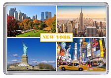 New York City USA Fridge