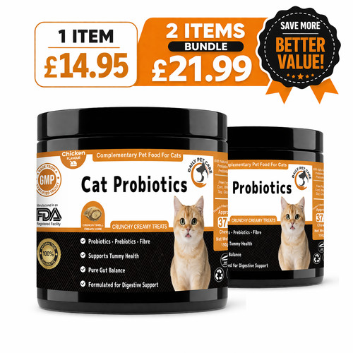 Cat probiotics chews for cats - cat,