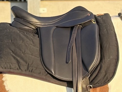 Show working hunter - 17.5”,