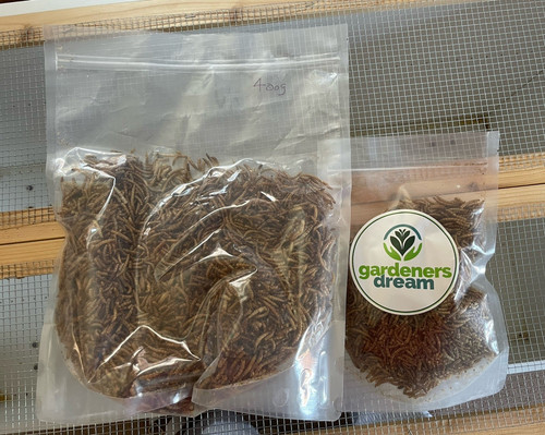 Gardeners dream dried - gardeners,