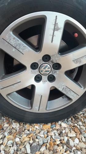 Beetle alloys luna - beetle,