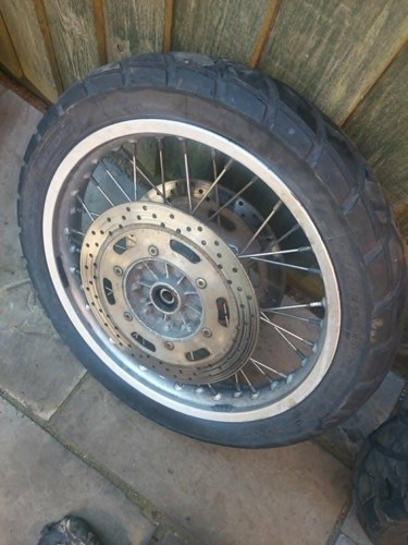 Triumph 955 tiger front - 955,
