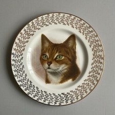 Lovely Cat Design Liverpool