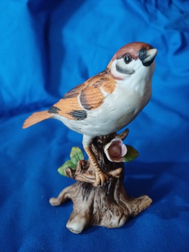 Tree sparrow bird perched - sparrow, on