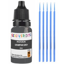 For Rover Grampian Grey Paint