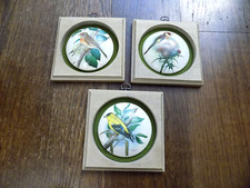 Vtg Lot set 3 Transfers Bird