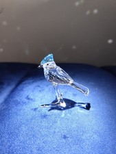Swarovski Feathered Beauties