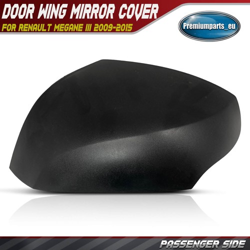 Passenger side door - passenger,