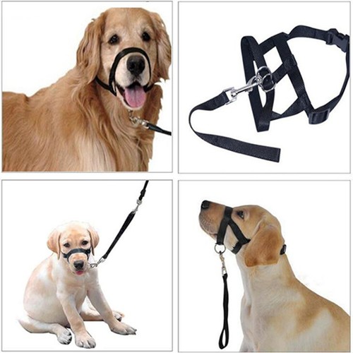 Pull head harness lead - pull,