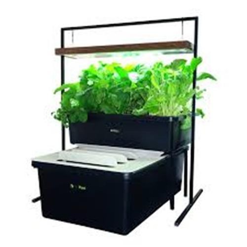 Fishplant family unit - fishplant,
