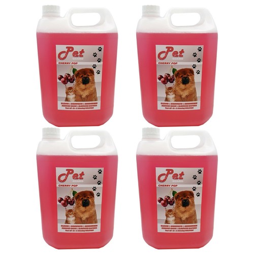Pet cattery kennel - cattery,