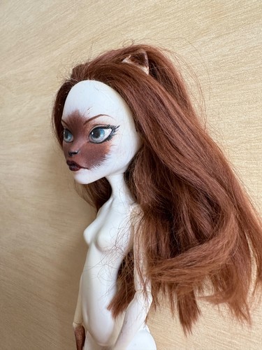 Monster high custom - high, catrine