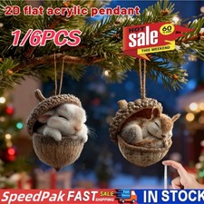 1/6X Forest Animal Acorn