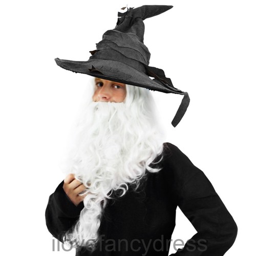 Grey wizard hat wig - hat, beard
