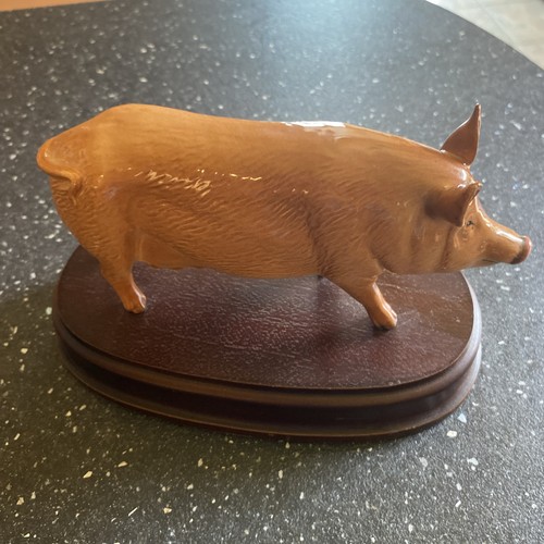 Royal doulton tamworth pig - tamworth, on