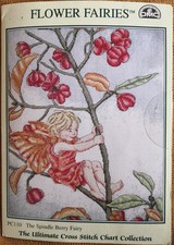 Counted Cross Stitch Design