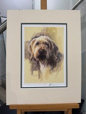 Mick Cawston - Spinone Head