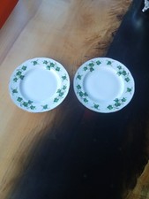 PAIR OF 10" DINNER PLATES IVY LEAF PATTERN 8143