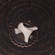 Stunning authentic Snake