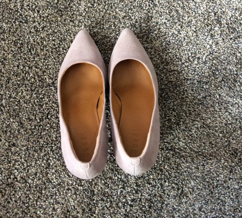 Blush pink pointed - pink, kitten